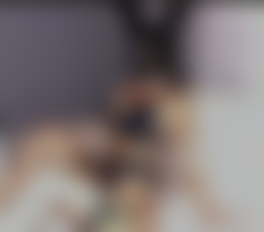 Escorts Lancashire Preston - Photos for 🥂PARTY GIRL🥂Melissa 🫦New in Town Centre 🫦